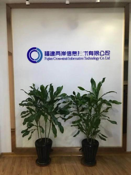 深耕軟件開發，賦能兩岸互聯 福建兩岸信息技術的發展之路
